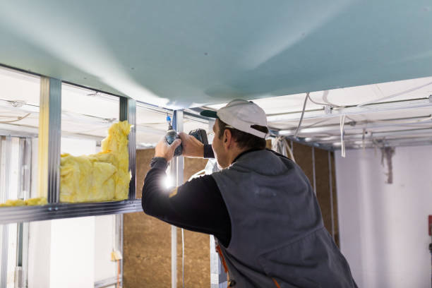 Best Residential Insulation in Salt Creek Commons, IN