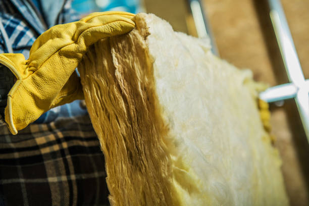 Best Insulation Installation Services in Salt Creek Commons, IN