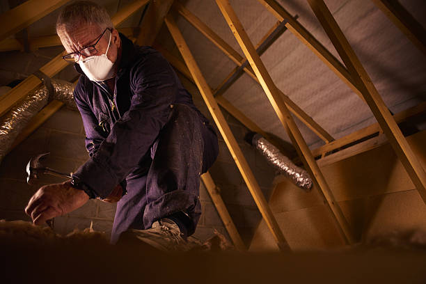 Best Insulation Maintenance and Repair in Salt Creek Commons, IN