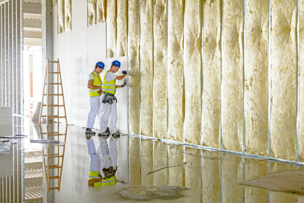 Best Insulation for Specific Applications in Salt Creek Commons, IN